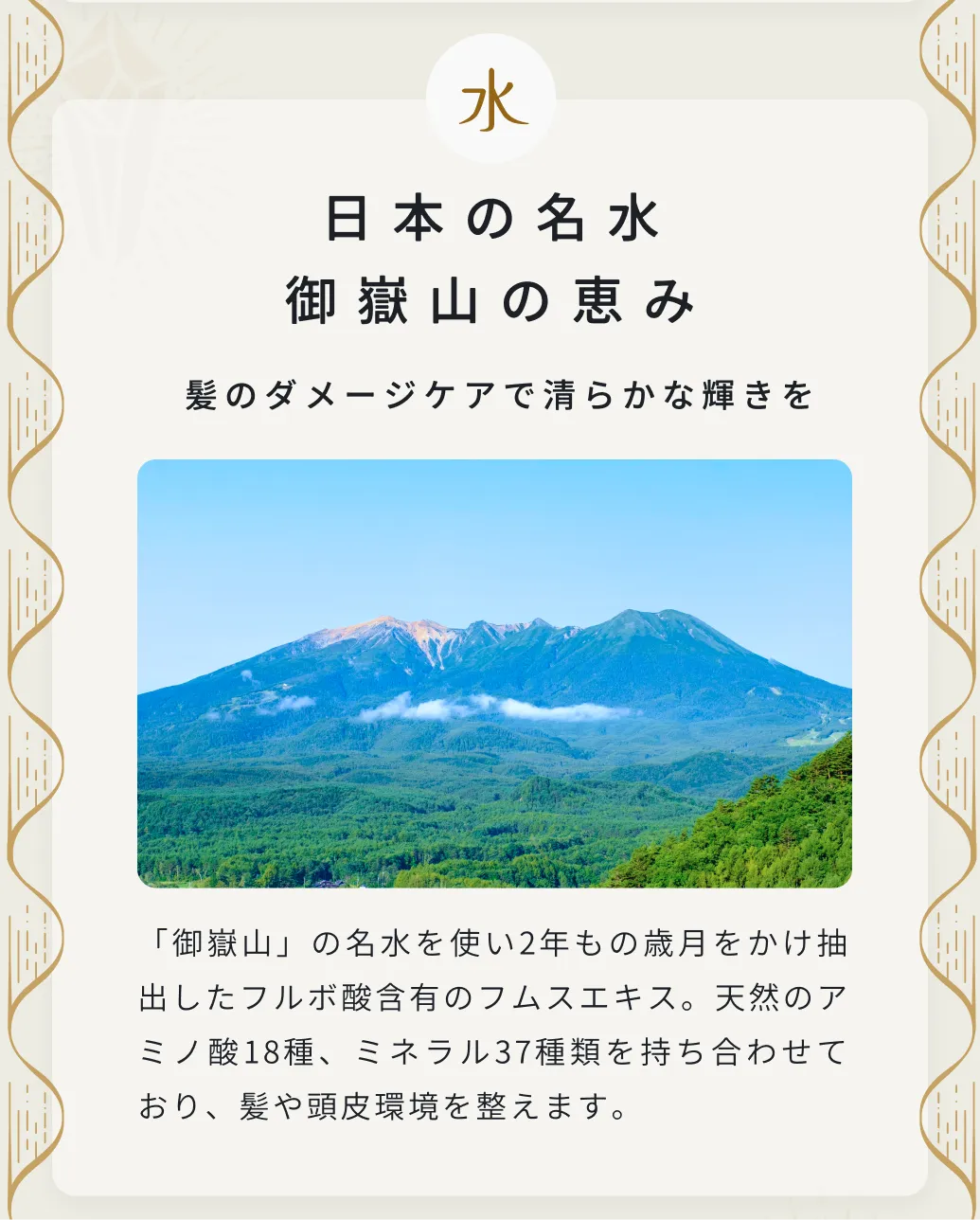 「御嶽山」の名水を使い2年もの歳月をかけ抽出したフルボ酸含有のフムスエキス。天然のアミノ酸18種、ミネラル37種類を持ち合わせており、髪や頭皮環境を整えます。
